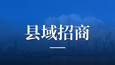 县域招商：招什么？怎么招？去哪招？